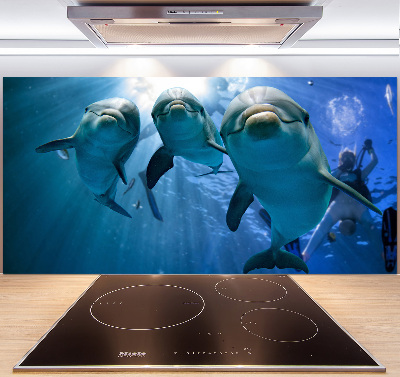 Cooker splashback Three dolphins