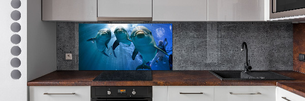 Cooker splashback Three dolphins