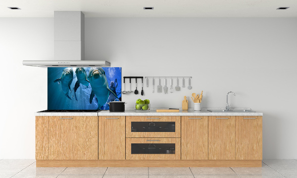 Cooker splashback Three dolphins