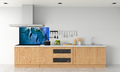 Cooker splashback Three dolphins