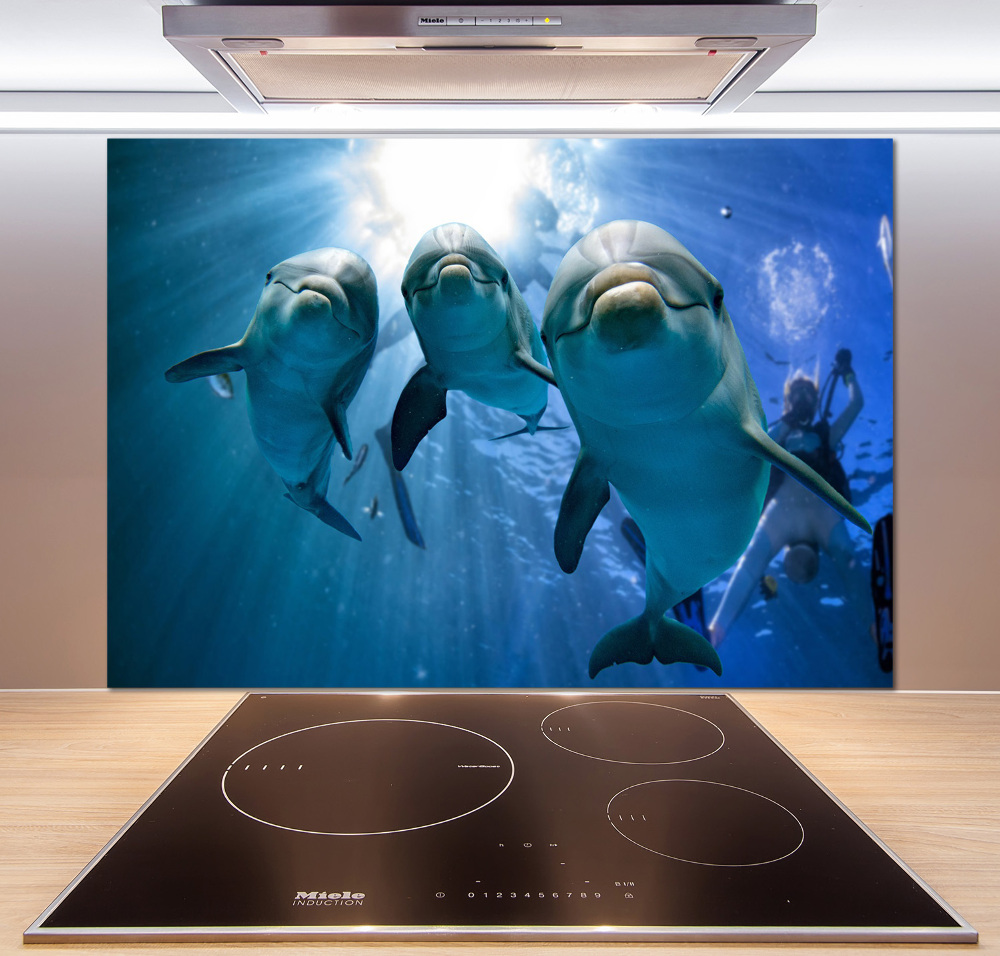 Cooker splashback Three dolphins