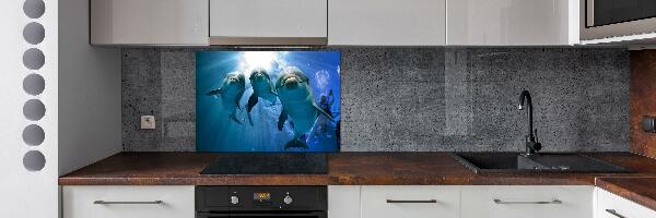 Cooker splashback Three dolphins