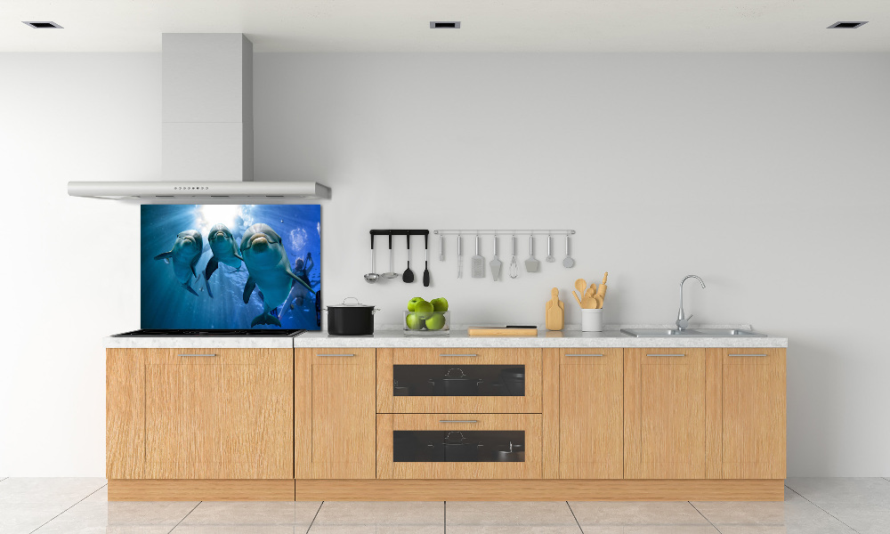 Cooker splashback Three dolphins