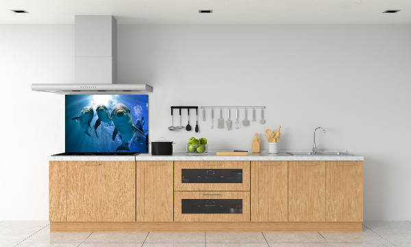 Cooker splashback Three dolphins