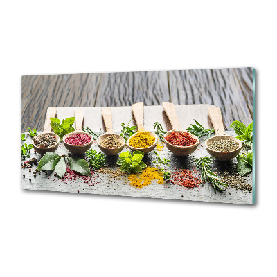 Kitchen splashback Colorful spices