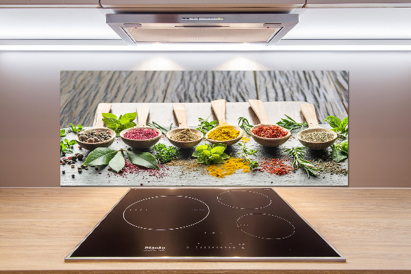 Kitchen splashback Colorful spices