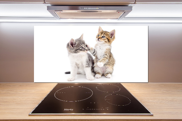 Cooker splashback Two little cats