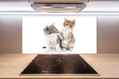 Cooker splashback Two little cats