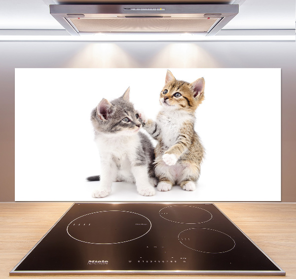 Cooker splashback Two little cats