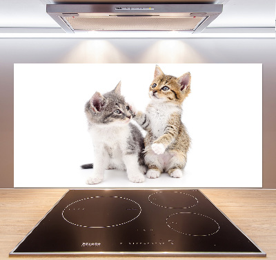 Cooker splashback Two little cats