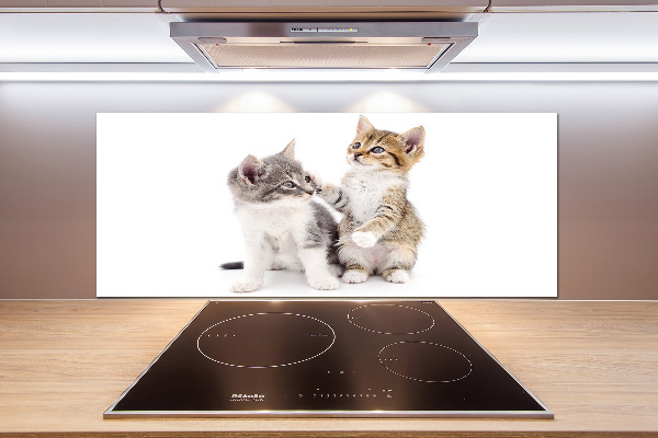 Cooker splashback Two little cats