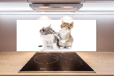 Cooker splashback Two little cats