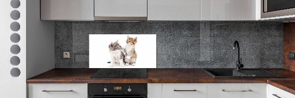 Cooker splashback Two little cats