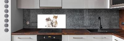 Cooker splashback Two little cats