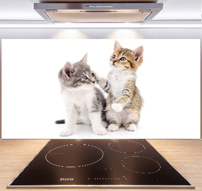 Cooker splashback Two little cats