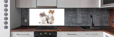 Cooker splashback Two little cats