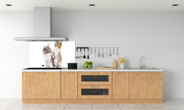 Cooker splashback Two little cats