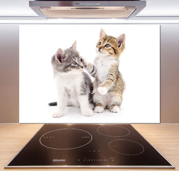 Cooker splashback Two little cats