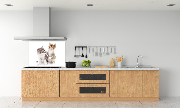 Cooker splashback Two little cats