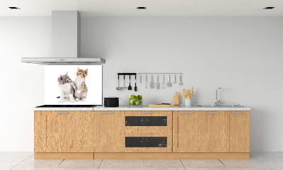 Cooker splashback Two little cats