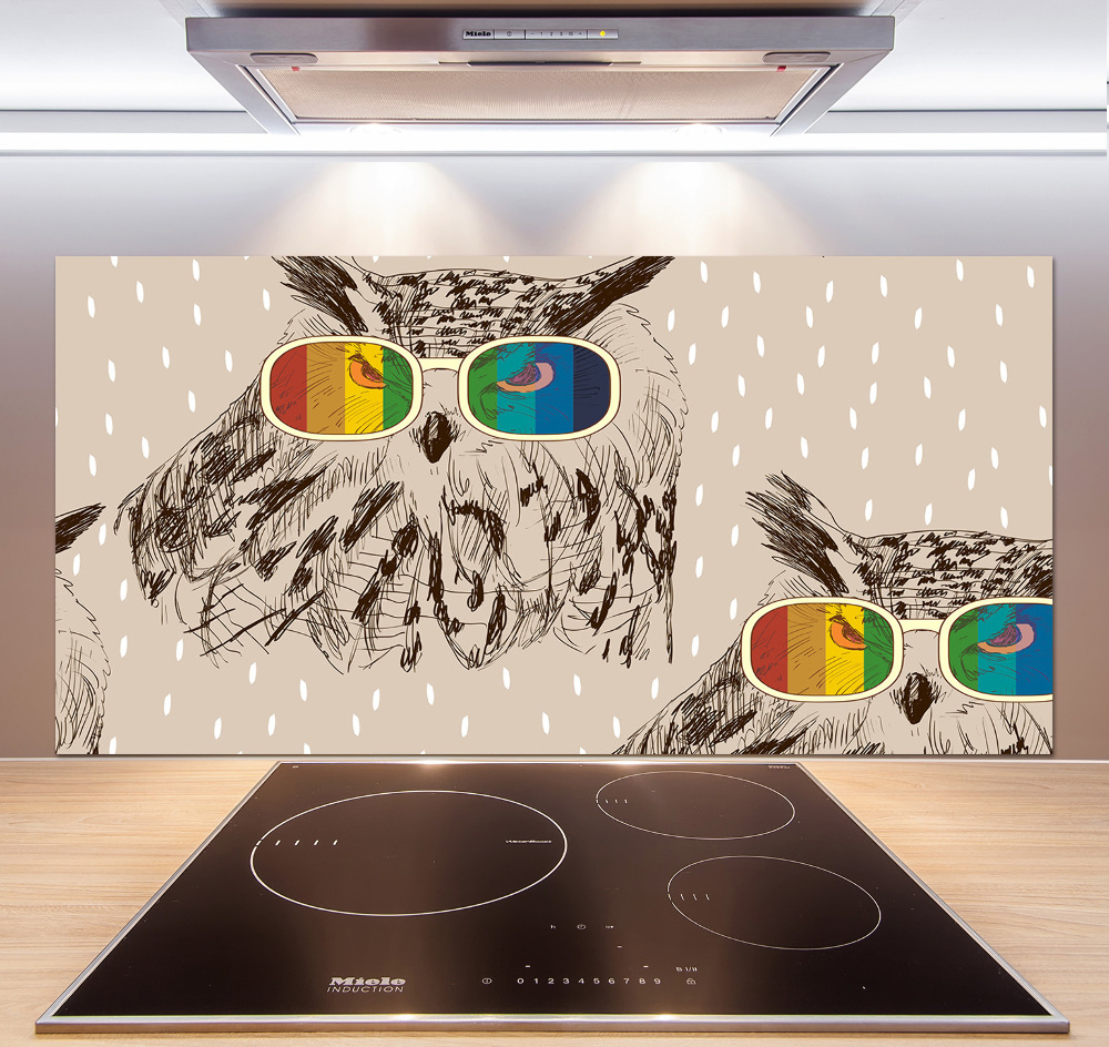 Kitchen splashback Owls with glasses