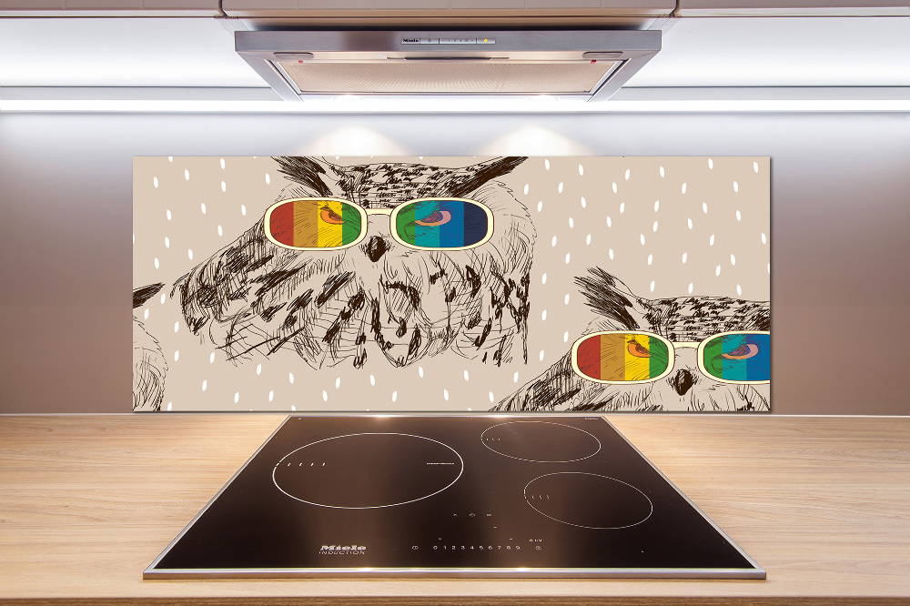 Kitchen splashback Owls with glasses