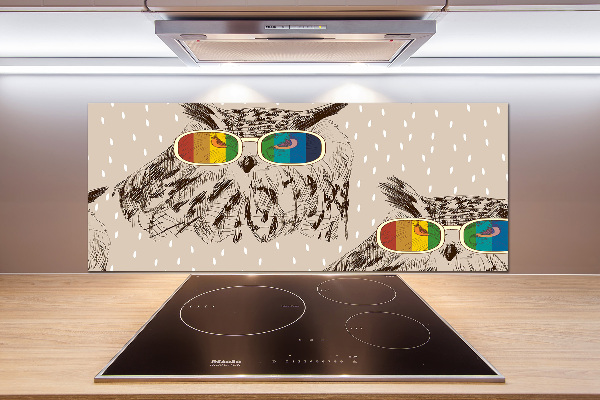 Kitchen splashback Owls with glasses