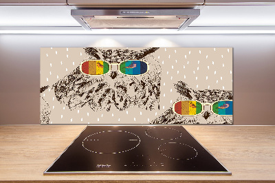 Kitchen splashback Owls with glasses