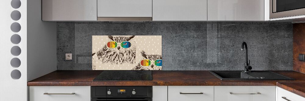 Kitchen splashback Owls with glasses