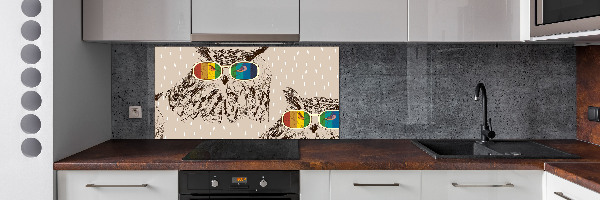 Kitchen splashback Owls with glasses