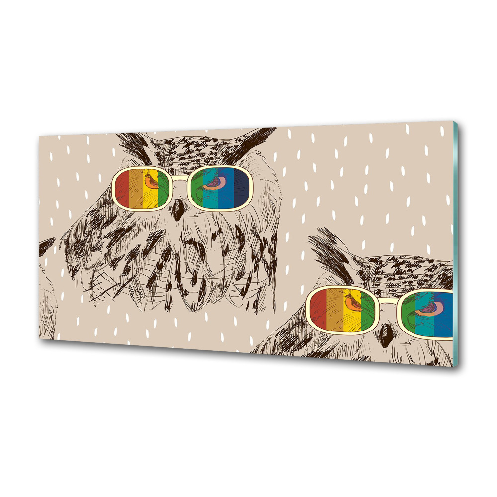 Kitchen splashback Owls with glasses