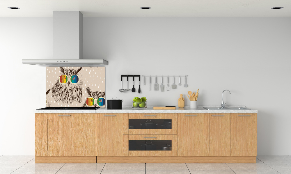 Kitchen splashback Owls with glasses