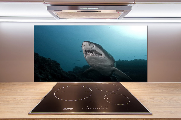 Cooker splashback Large shark