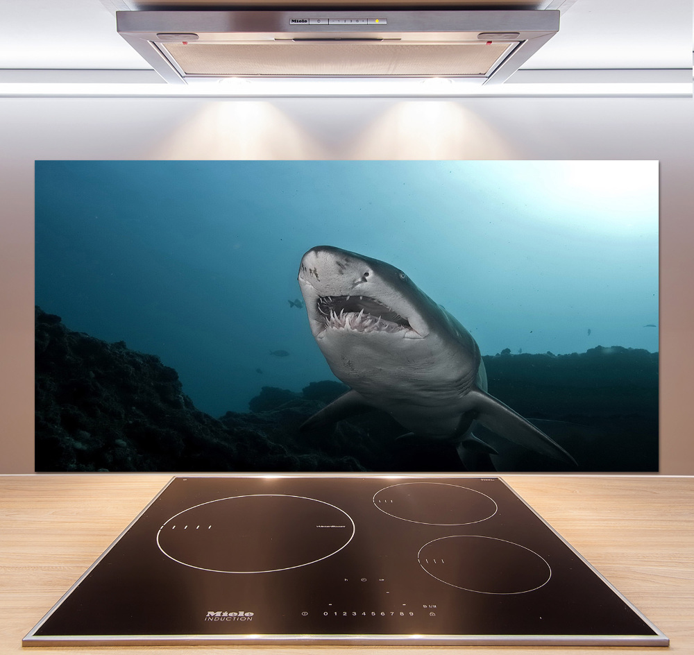 Cooker splashback Large shark