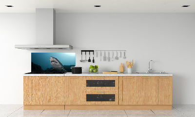 Cooker splashback Large shark