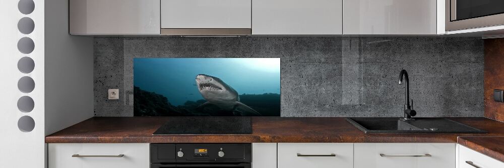 Cooker splashback Large shark