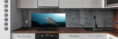 Cooker splashback Large shark