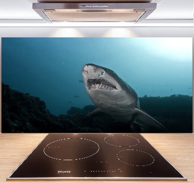 Cooker splashback Large shark