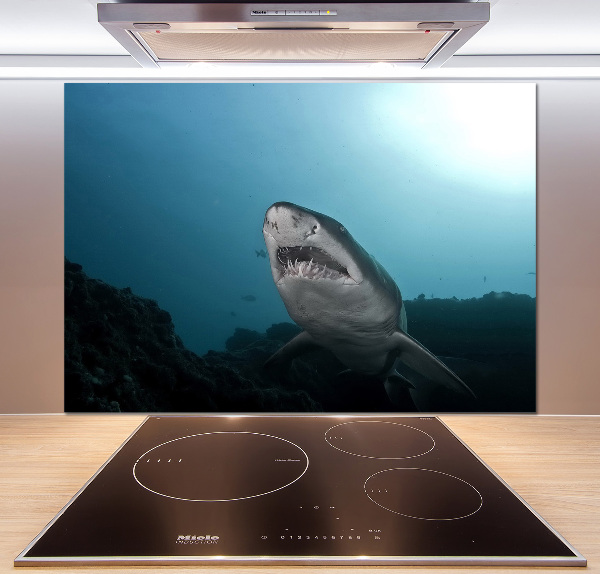 Cooker splashback Large shark