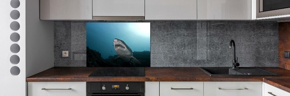 Cooker splashback Large shark