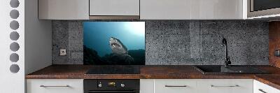 Cooker splashback Large shark