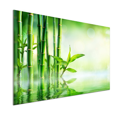 Cooker splashback Bamboo