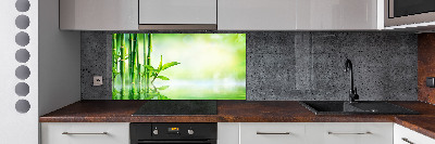 Cooker splashback Bamboo