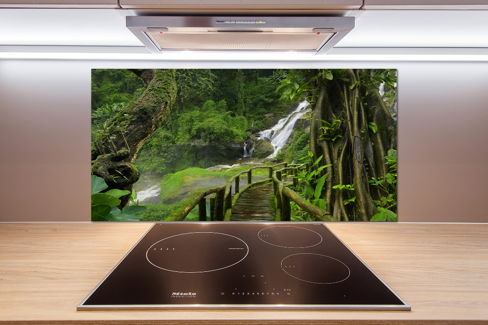 Cooker splashback Waterfall in the jungle