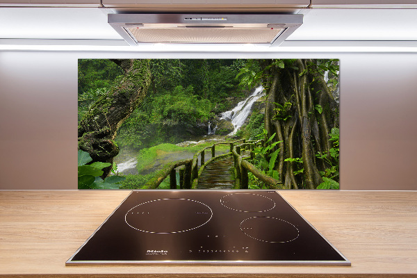 Cooker splashback Waterfall in the jungle