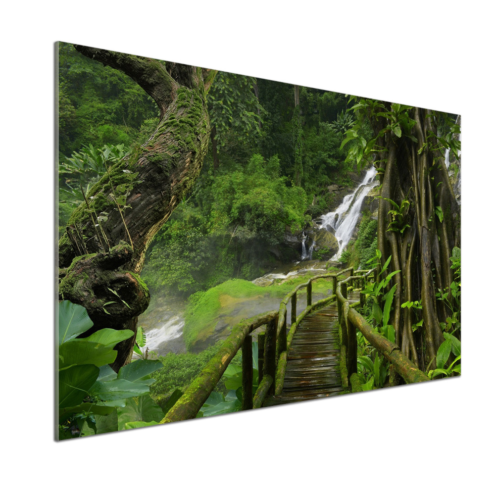 Cooker splashback Waterfall in the jungle