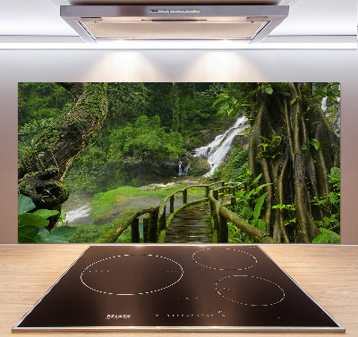 Cooker splashback Waterfall in the jungle