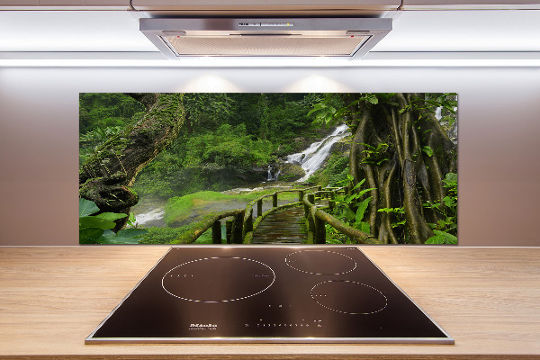 Cooker splashback Waterfall in the jungle