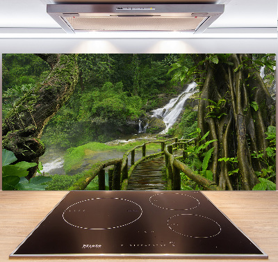 Cooker splashback Waterfall in the jungle