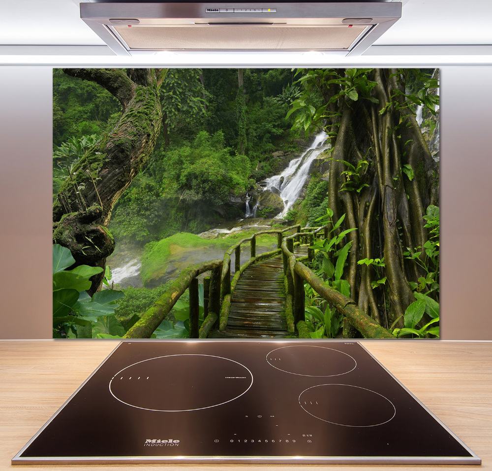 Cooker splashback Waterfall in the jungle